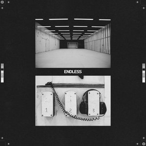 Image for 'Endless'