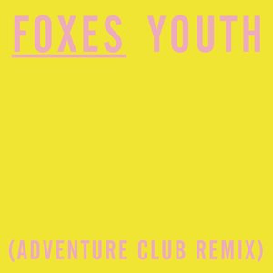 Image for 'Youth (Adventure Club Dubstep Remix)'