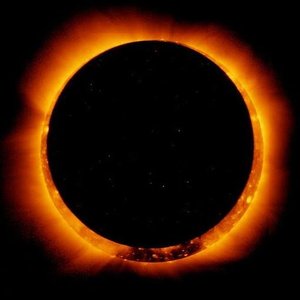 Eyes to The Sun 的头像