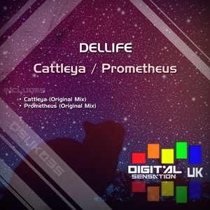 Cattleya / Prometheus
