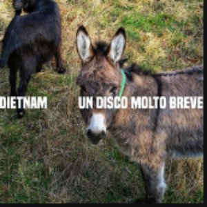 Un Disco Molto Breve