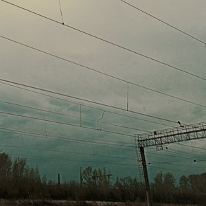 мимикрия