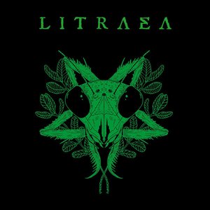 Litraea