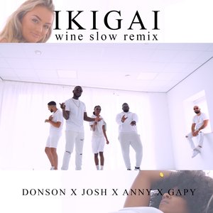 Ikigai (wine slow remix)