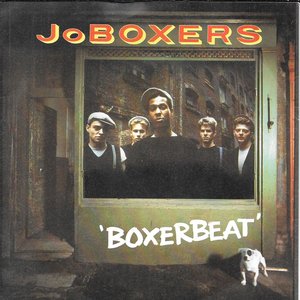 Boxerbeat