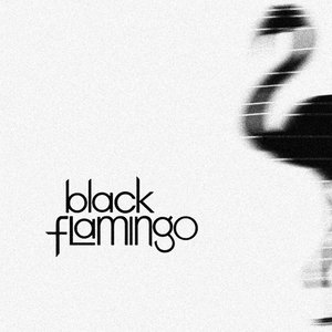 Imagem de 'Black Flamingo'