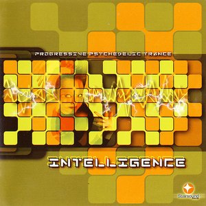 Intelligence