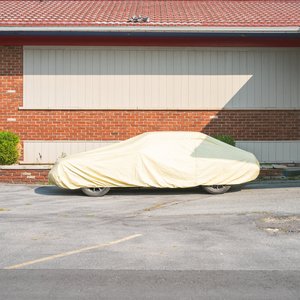 RUN AWAY WITH A WILD AND A RARE ONE