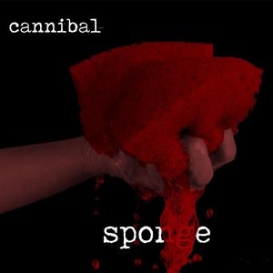 Sponge