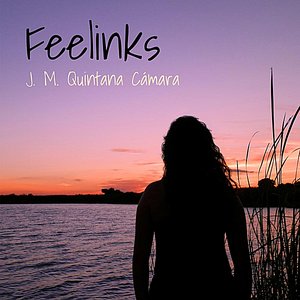 Feelinks