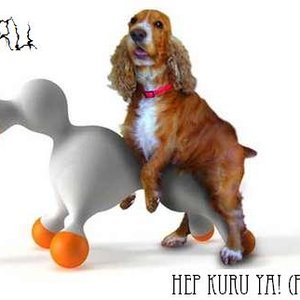 Image for 'Kuru(Tur)'