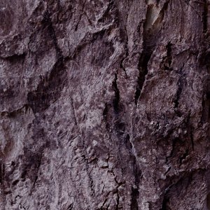Ifdvc - Single