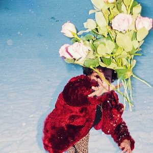 nie ma już dzikich róż