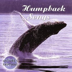 Humpback Songs