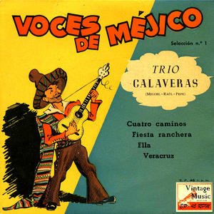 Vintage México Nº25- EPs Collectors