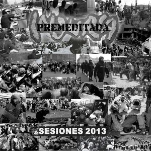 Sesiones 2013