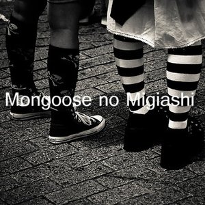 Mongoose no Migiashi 的头像