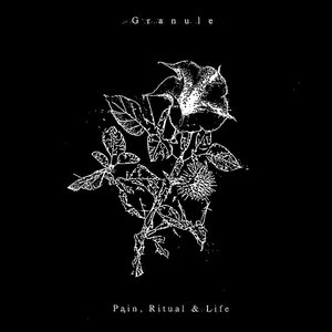 Granule 的头像