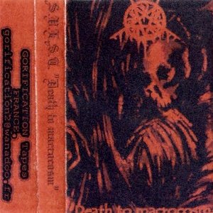 Death to Macrocosm
