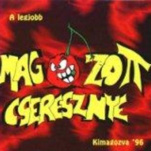 Kimagozva '96