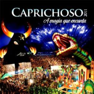 Image for 'Caprichoso 2011'