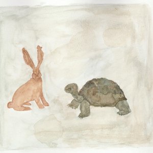 Tortoise, Hare
