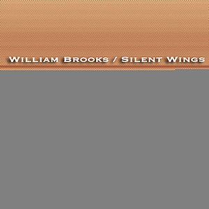 Silent Wings