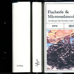 Fischerle & Micromelancolié 的头像