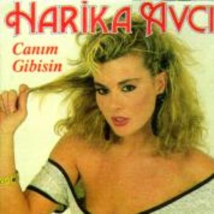 Canim Gibisin