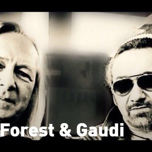 Deep Forest & Gaudi 的头像