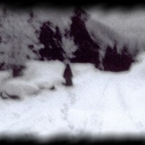 Nordlicht photo provided by Last.fm