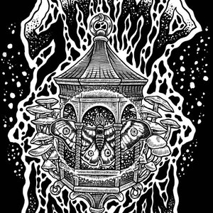 Swamp Lantern 的头像