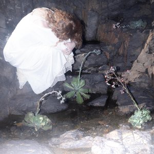 Silt - Single