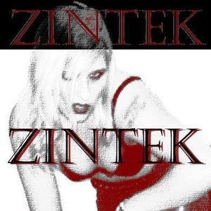 Zintek Profile Picture