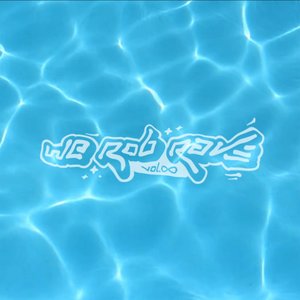 “WE ROB RAVE 9”的封面