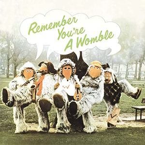 Remember You're A Womble cover