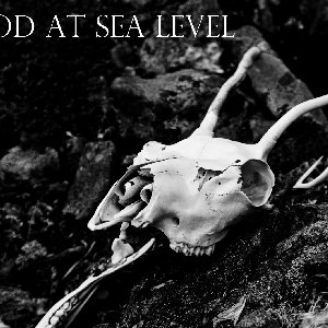 Blood at Sea Level 的头像