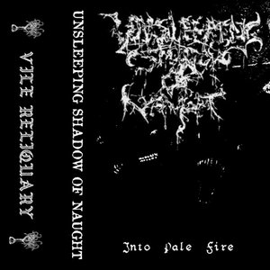 Into Pale Fire