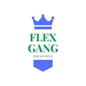 Avatar for Flex Entertainment