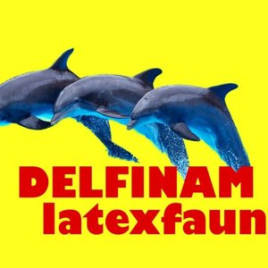 Delfinam