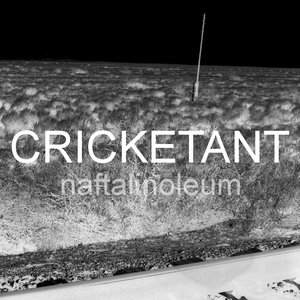 Аватар для cricketant