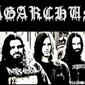 Image for 'Agarchus'
