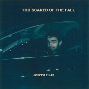 Too Scared of the Fall