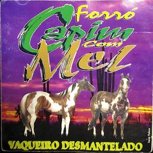 Vaqueiro Desmantelado