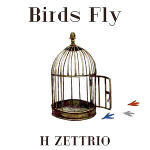 Birds Fly