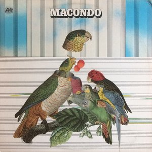 Macondo