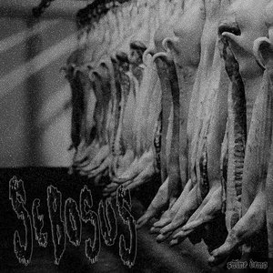 Swine Demo