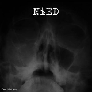 Nied 的头像