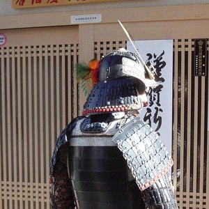 Wakamaru 的头像