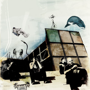 Backflow photo provided by Last.fm